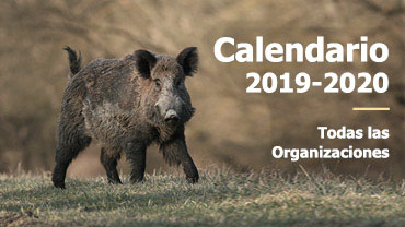 ModuloCalendarioMonterias