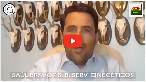 Entrevista a Saúl Bravo