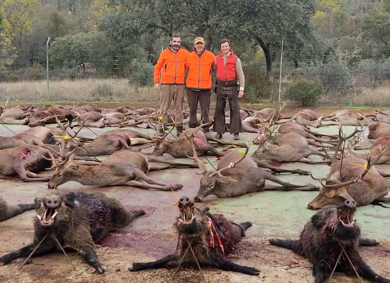 Resultado Montería Cabeza del Asno 2022 Dehesas y Jarales