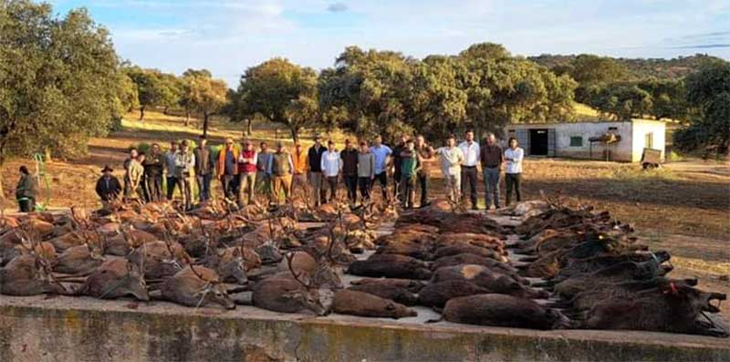Resultado Montería Carboneras 2022 Cinegética Cordobesa