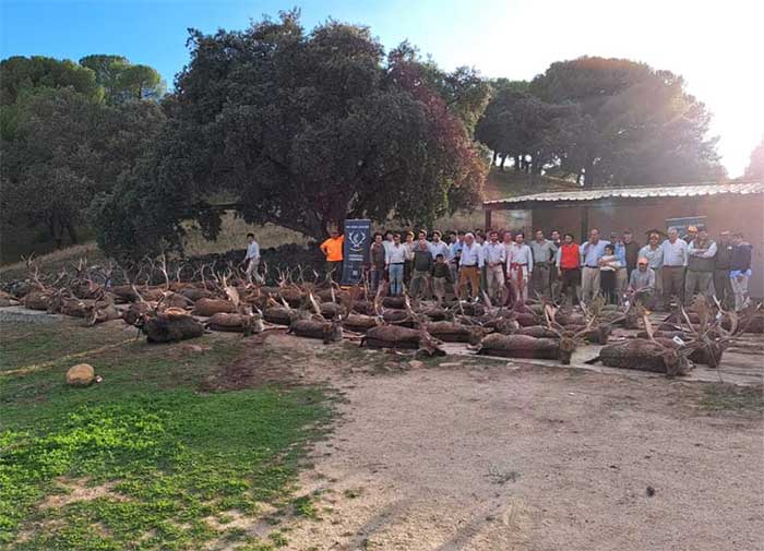 Resultado Montería Casa Polo 2022 Cinegética Cordobesa