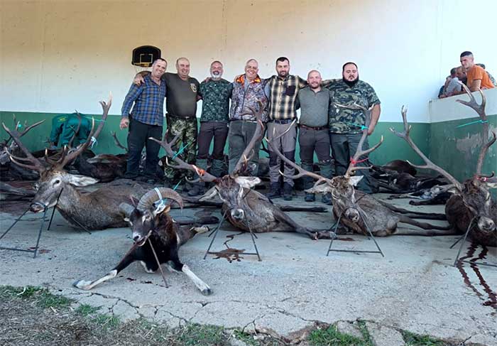 Chaqueta Caza Blaser