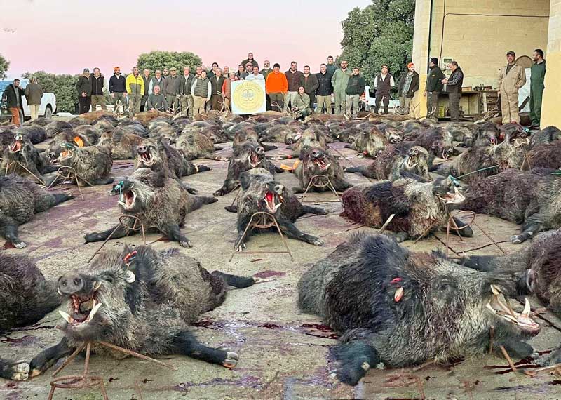 Chaqueta Caza Blaser