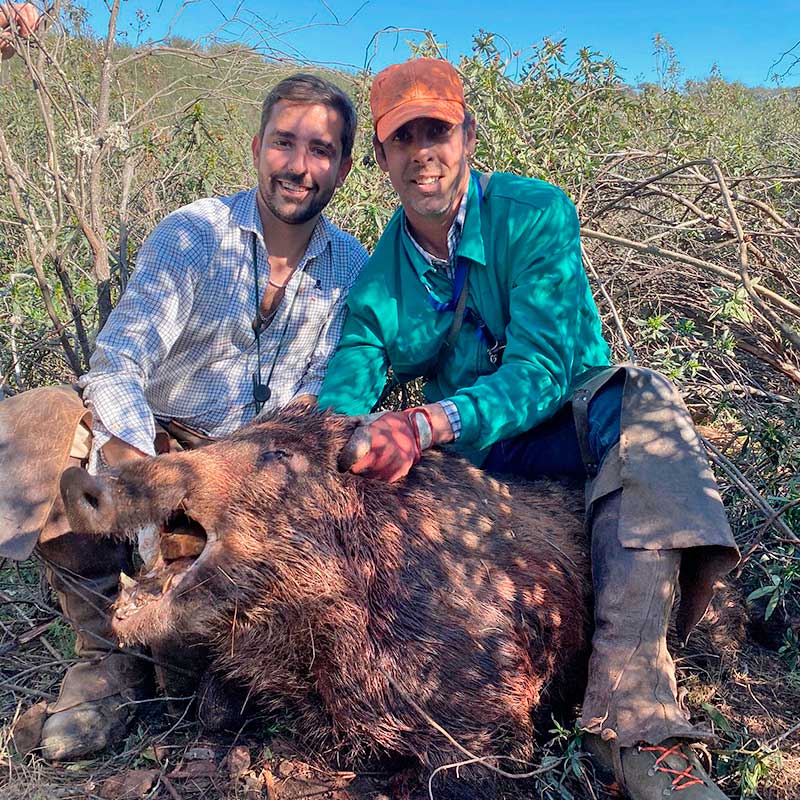 Chaqueta Caza Blaser