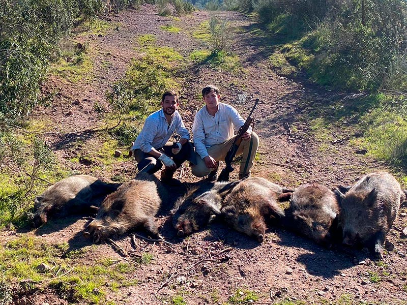 Chaqueta Caza Blaser