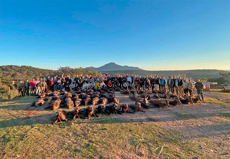 Chaqueta Caza Blaser