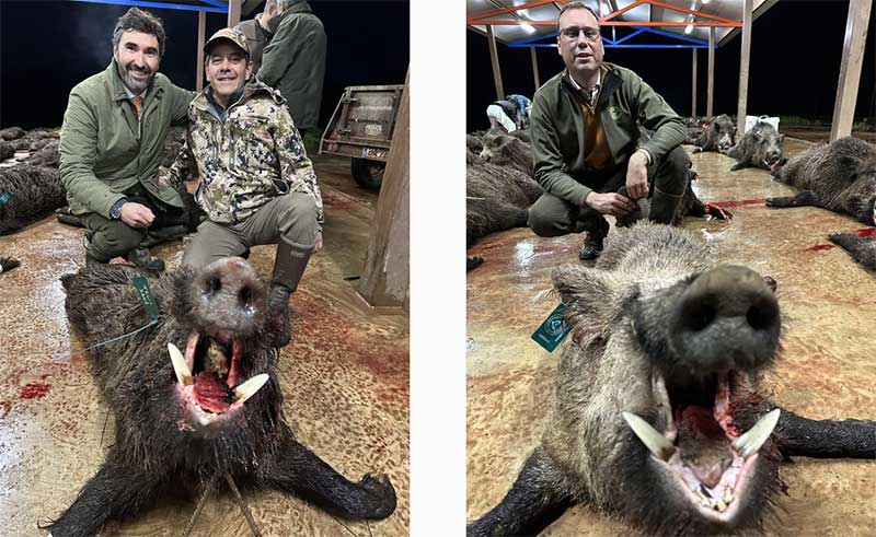 Chaqueta Caza Blaser