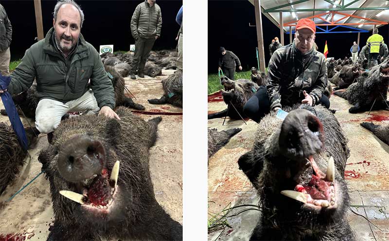 Chaqueta Caza Blaser