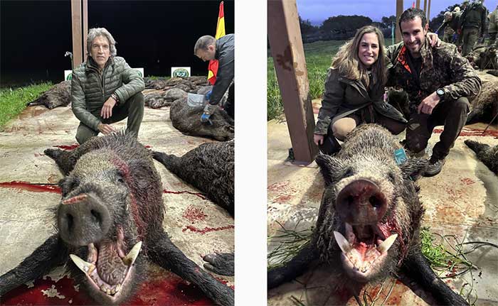 Chaqueta Caza Blaser