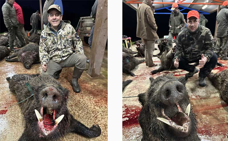 Chaqueta Caza Blaser