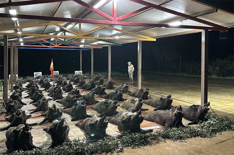 Chaqueta Caza Blaser