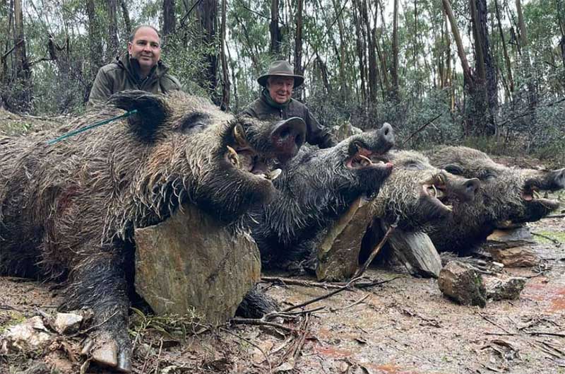 Chaqueta Caza Blaser