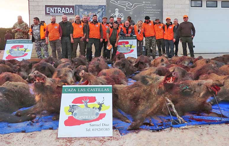 Chaqueta Caza Blaser