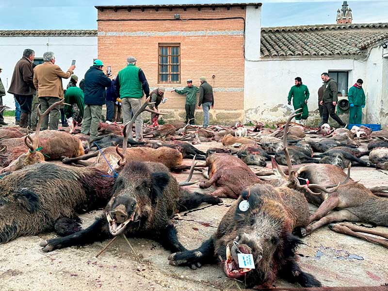 Chaqueta Caza Blaser