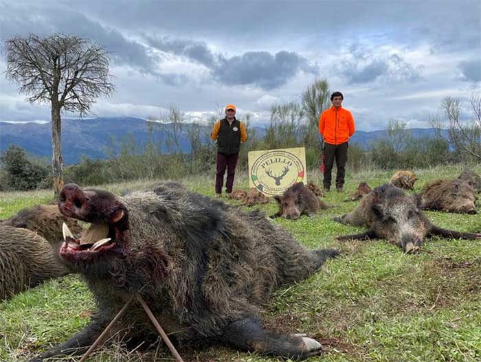 Resultado Montería El Cerro 2022 Pelillo S C