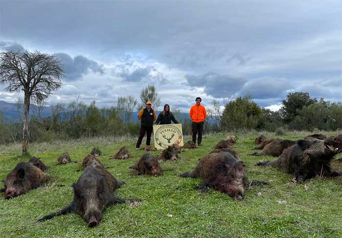 Chaqueta Caza Blaser