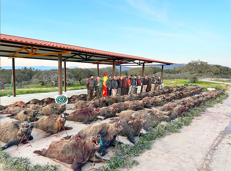 Resultado Montería El Cotano 2023 Cabezas Servicios De Caza