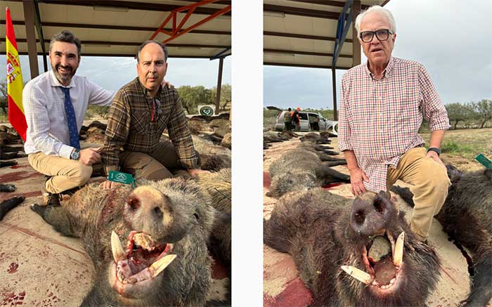 Chaqueta Caza Blaser