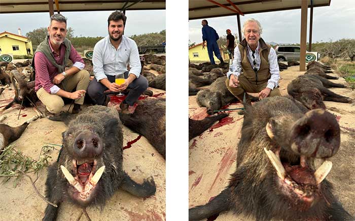 Chaqueta Caza Blaser