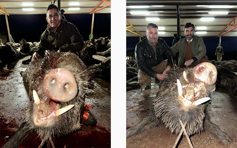 Chaqueta Caza Blaser