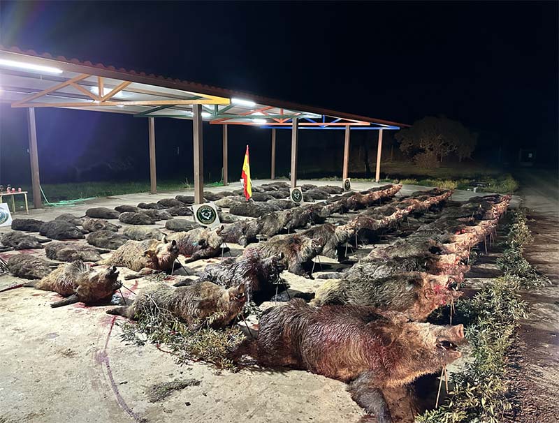 Chaqueta Caza Blaser