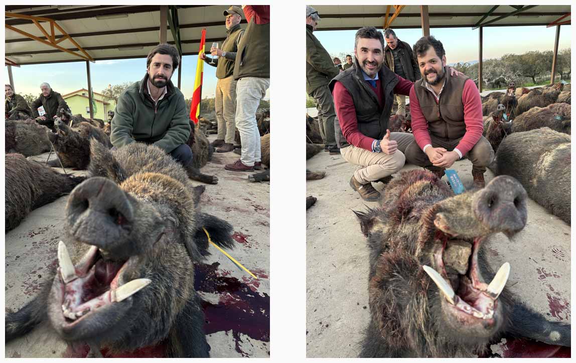 Chaqueta Caza Blaser