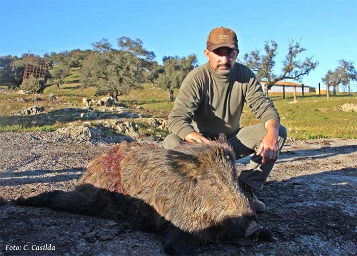 Chaqueta Caza Blaser