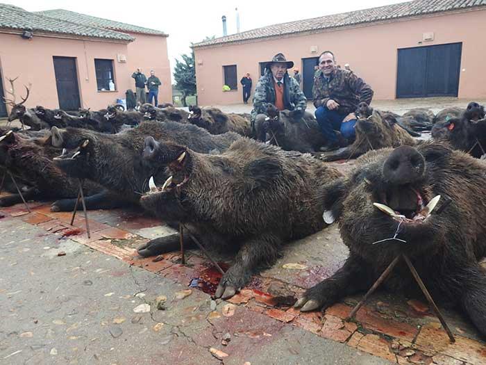 Resultado Montería El Navazo 2022 Gescaza