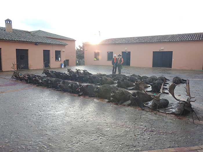 Chaqueta Caza Blaser