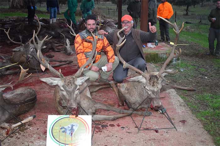 Chaqueta Caza Blaser