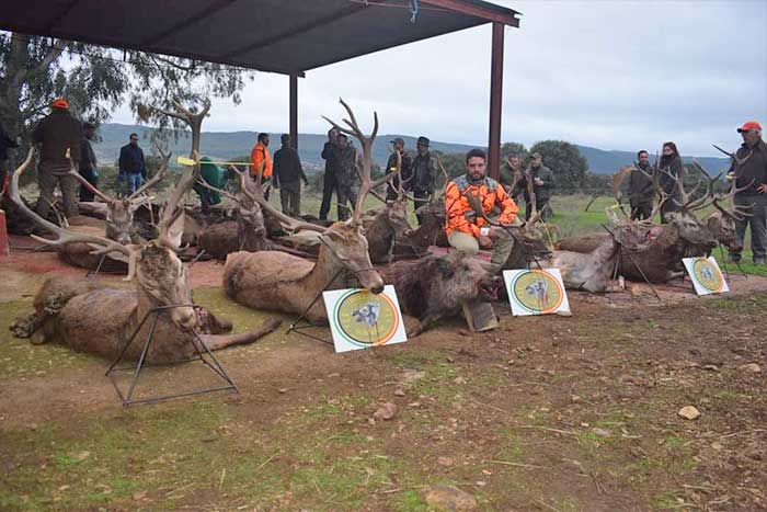 Chaqueta Caza Blaser