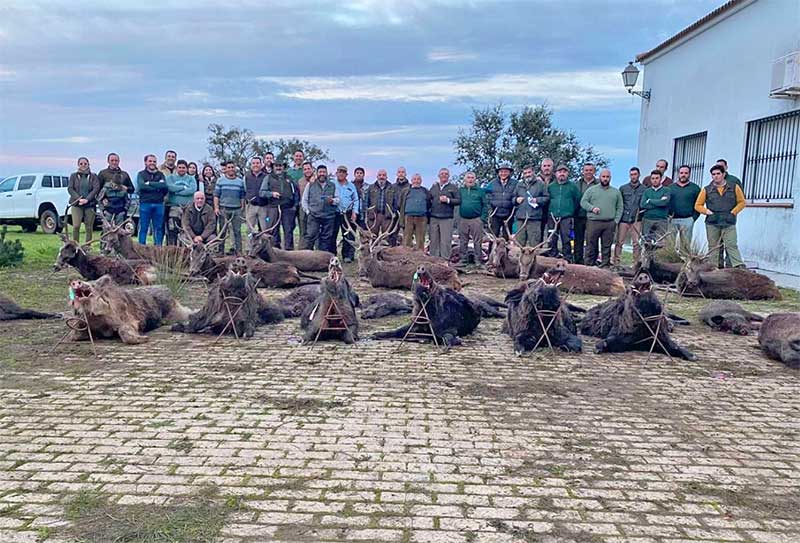 Chaqueta Caza Blaser