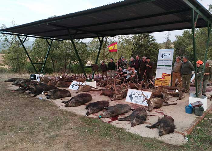 Chaqueta Caza Blaser