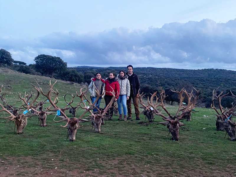 Chaqueta Caza Blaser