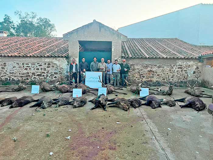 Chaqueta Caza Blaser