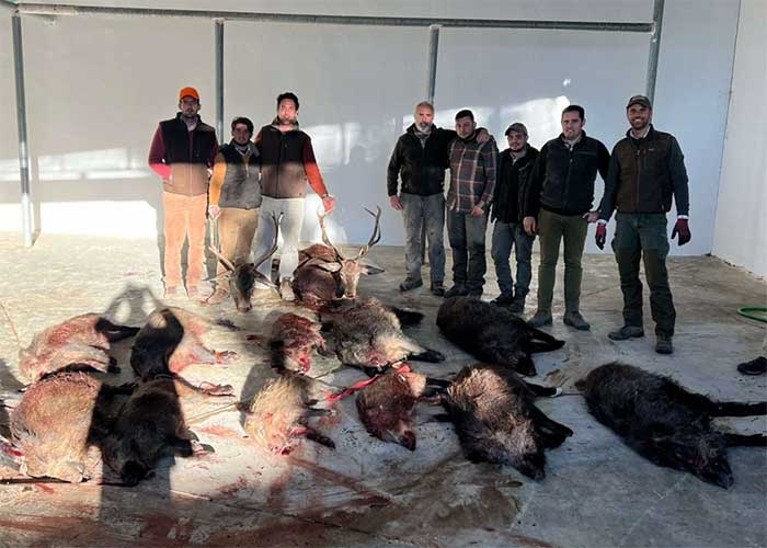 Chaqueta Caza Blaser