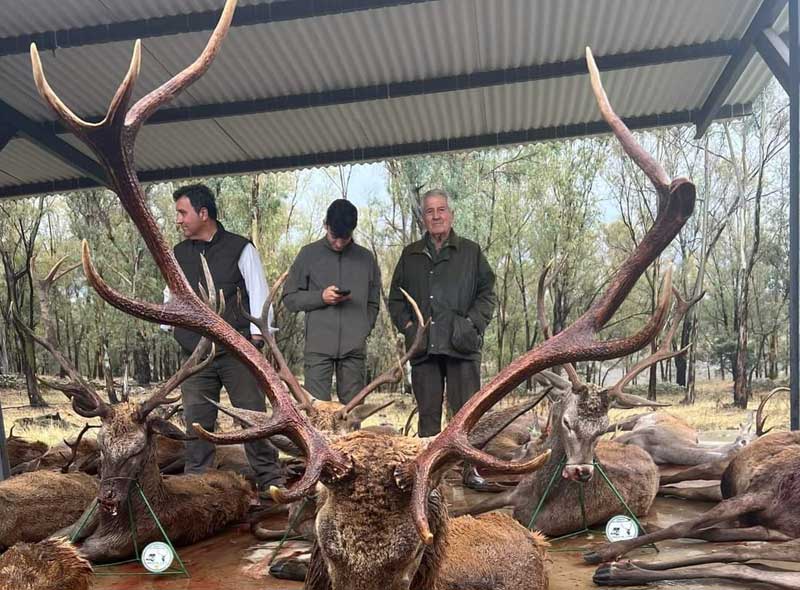 Chaqueta Caza Blaser