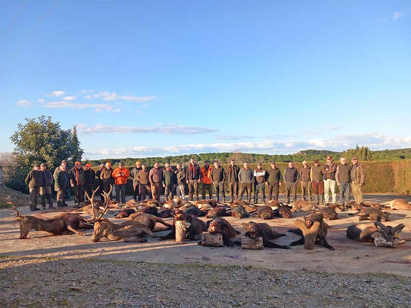 Chaqueta Caza Blaser