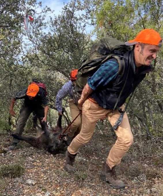 Chaqueta Caza Blaser