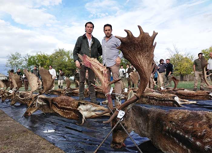 Chaqueta Caza Blaser