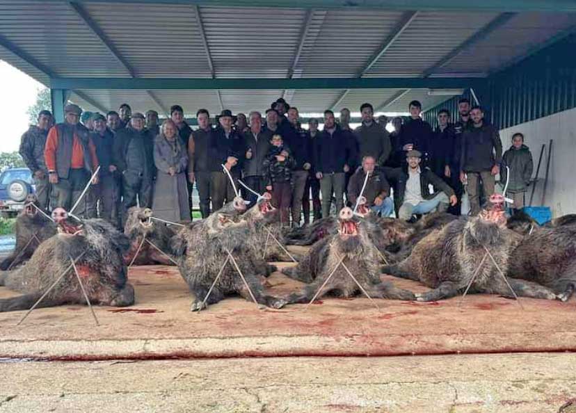 Chaqueta Caza Blaser