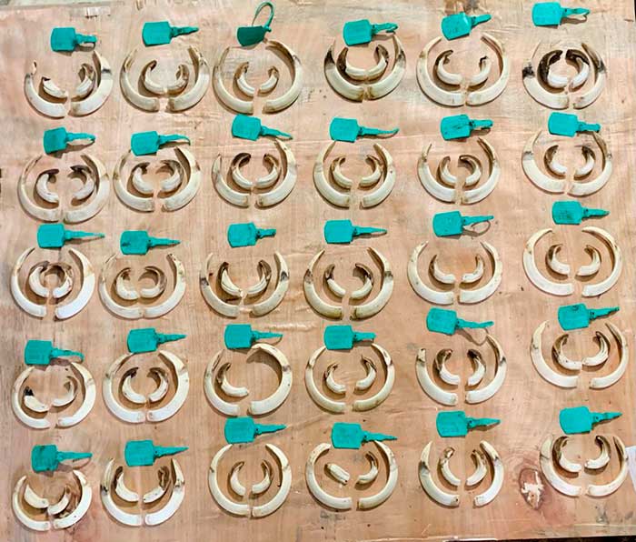 Chaqueta Caza Blaser