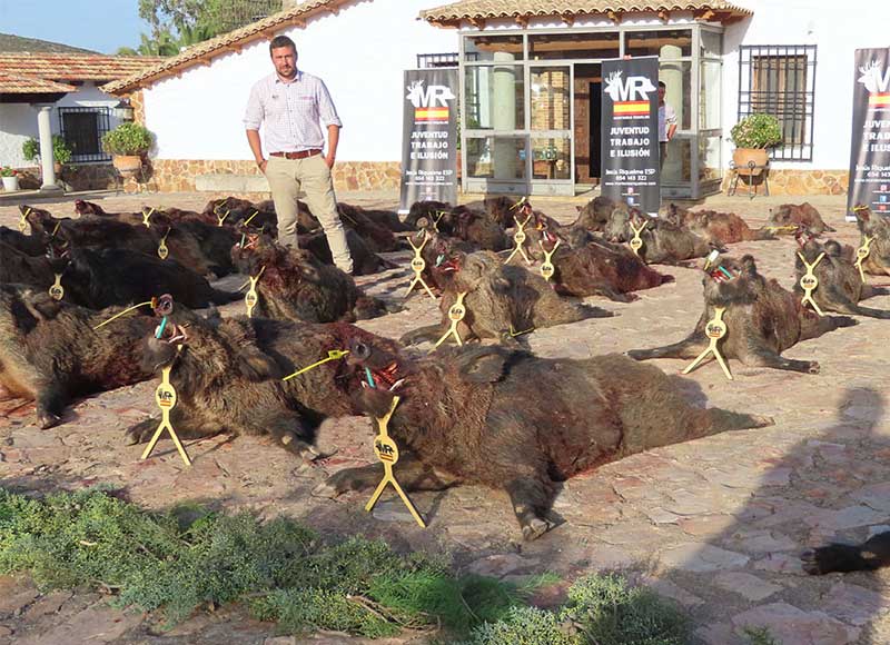 Chaqueta Caza Blaser