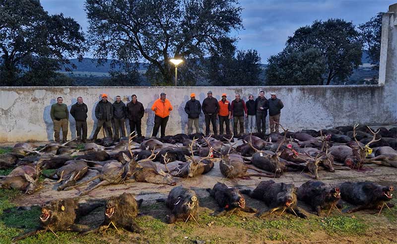 Chaqueta Caza Blaser