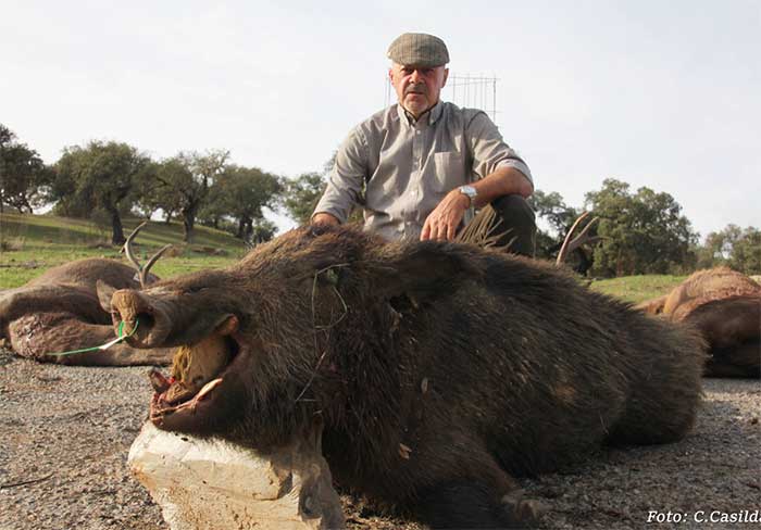 Chaqueta Caza Blaser