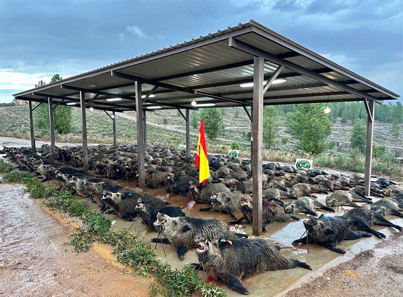 Resultado Montería La Nava 2022 Cabezas S. Caza