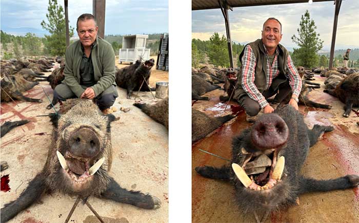 Chaqueta Caza Blaser