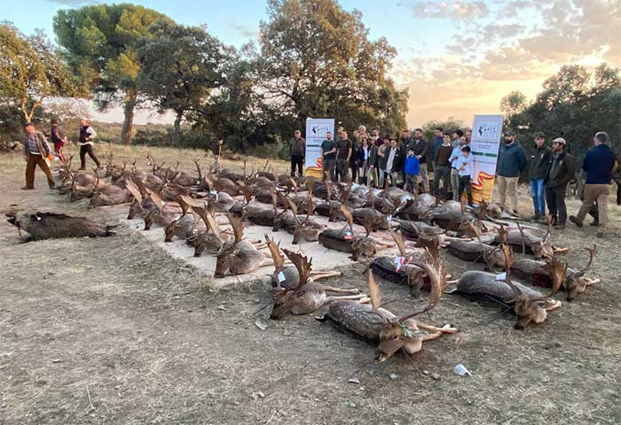 Chaqueta Caza Blaser