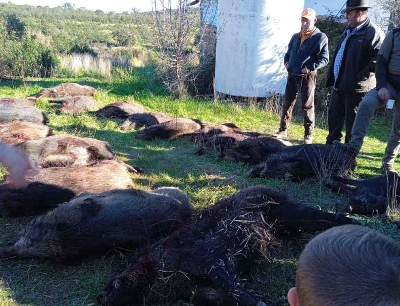 Resultado Montería La Parrilla 2023 Sierra Extremadura