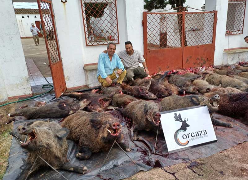 Resultado Montería Las Alcañizas 2022 Corcaza